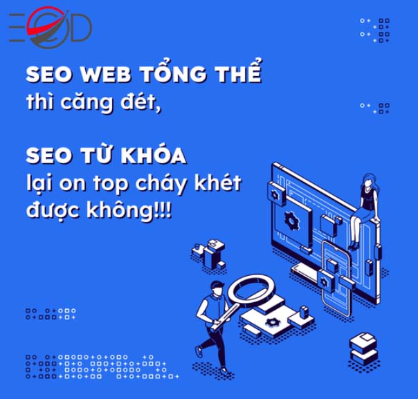 seo_web_tong_the